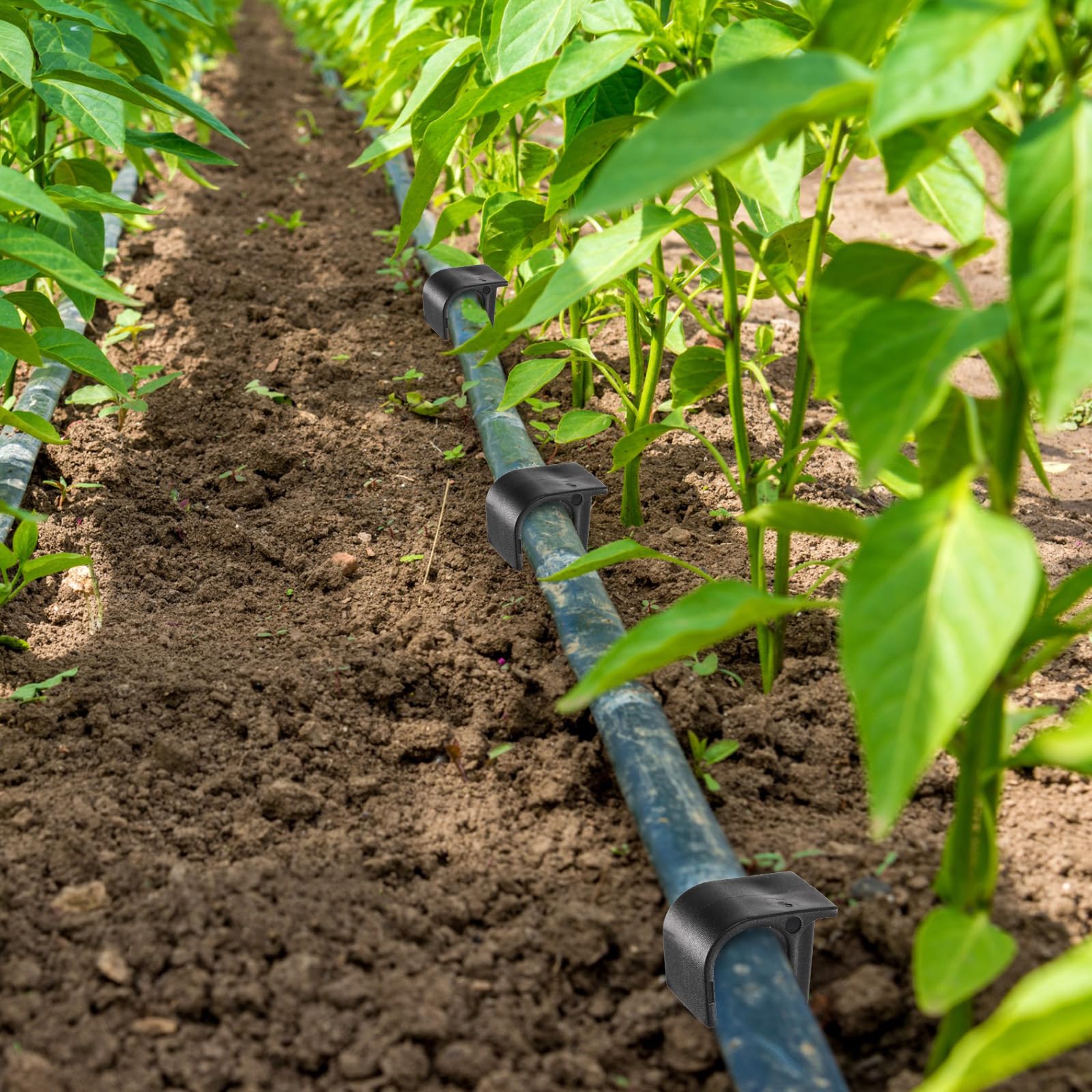 Pangda garden irrigation stake set helps organize drip lines across beds and lawns.