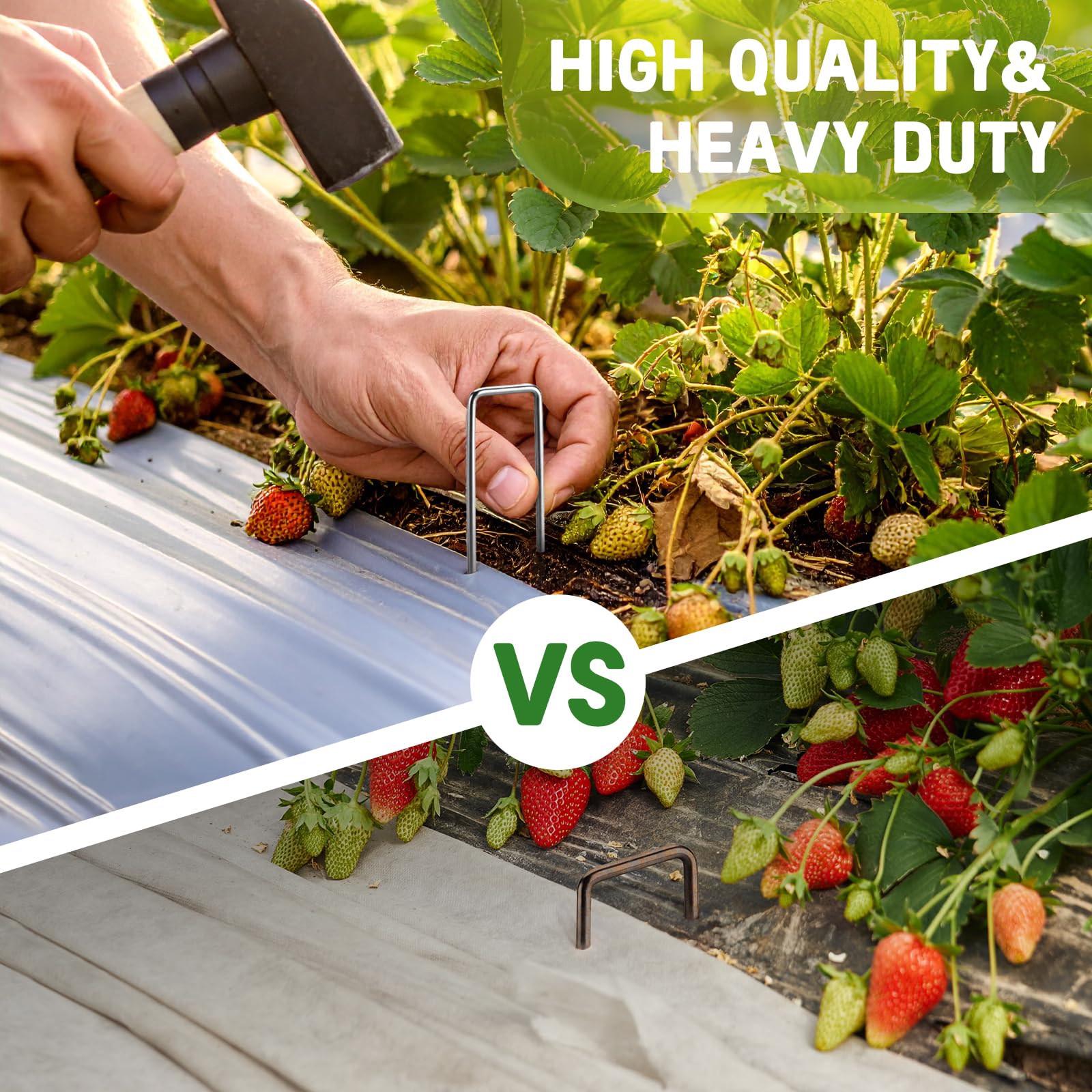 Panovue staples securing landscape fabric and weed barrier for neat yards