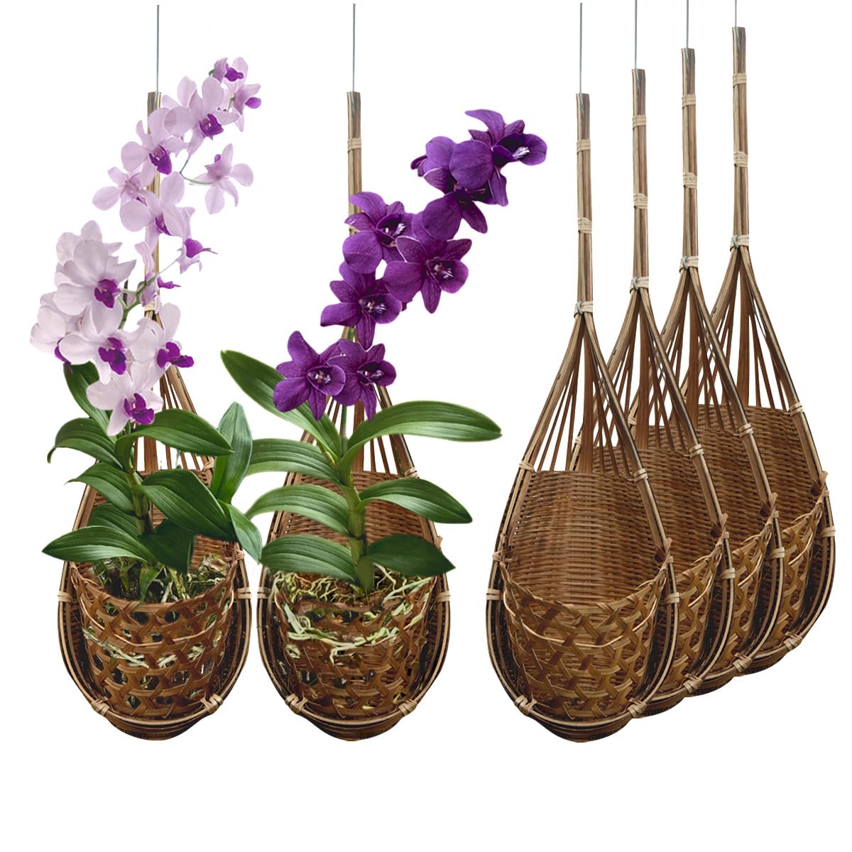 PANWA bamboo hanging orchid basket in dark coffee tone for chic display.