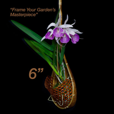 PANWA dark coffee bamboo 6-inch basket highlighting natural texture and durability.