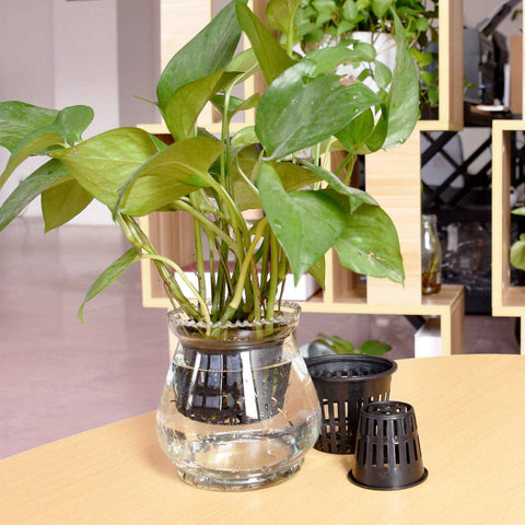 Panxxsen 3 inch net pot durable plastic construction