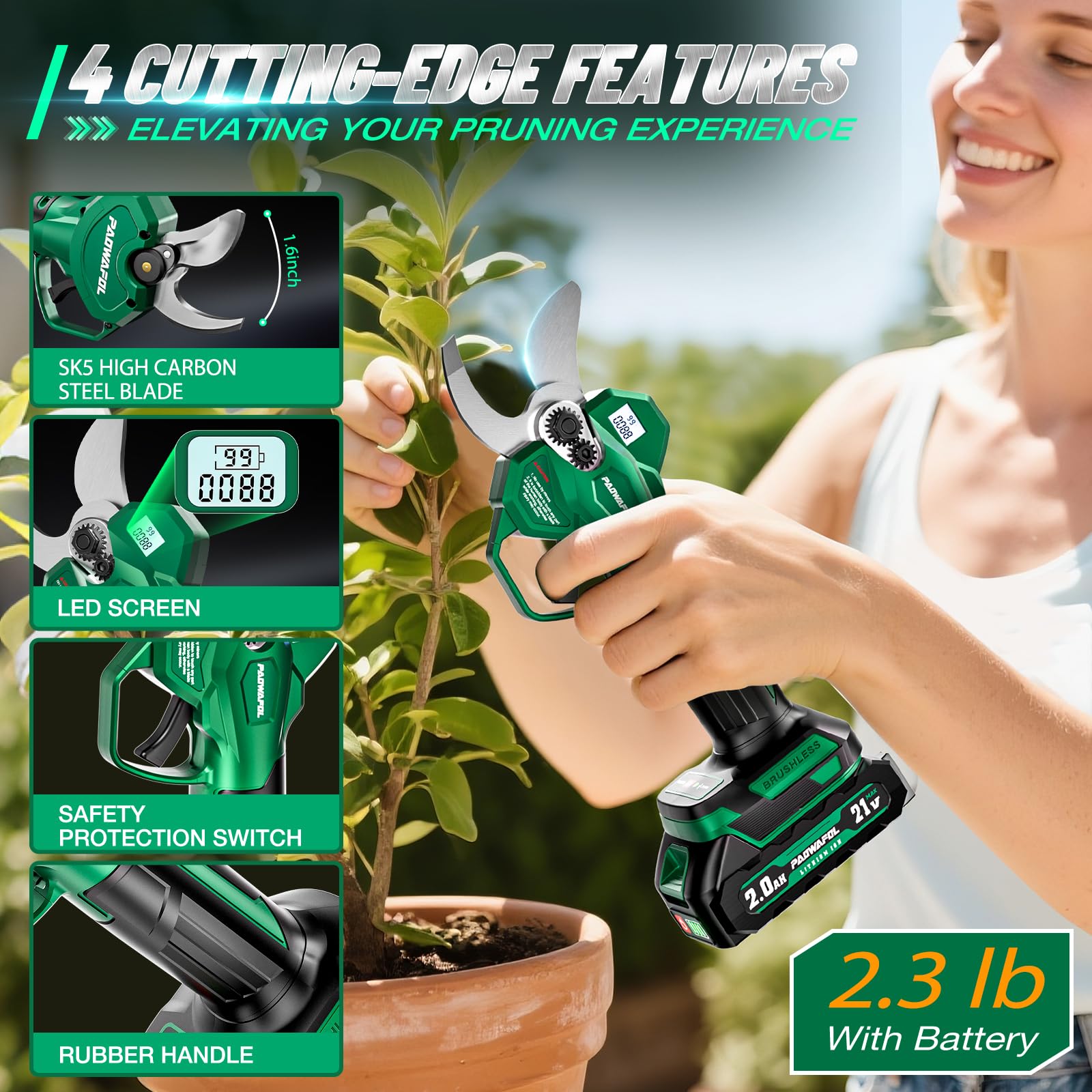 PAOWAFOL brushless motor highlights power and efficiency.