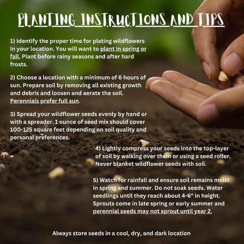 Paper Street Perennials earth-friendly-packaging highlights sustainable packaging