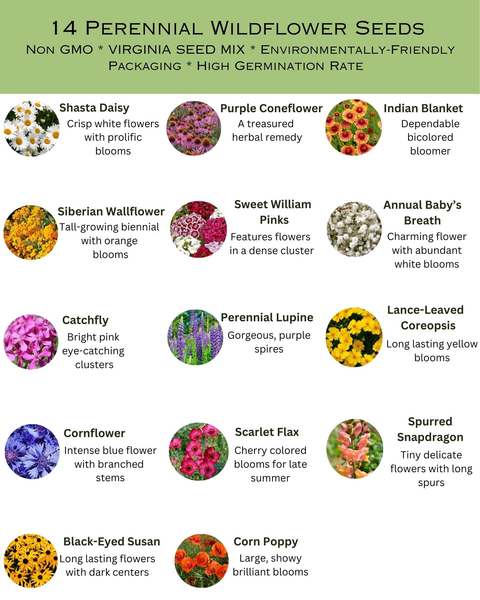 Paper Street Perennials 14-species bulk seed offers vibrant spring-to-fall color.