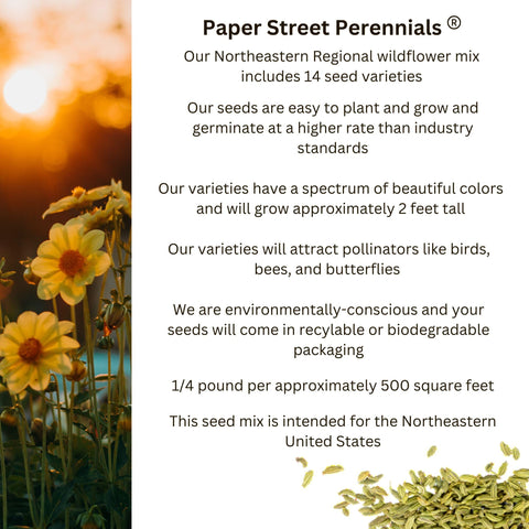 Paper Street Perennials Northeast mix includes 14 species for diverse color.