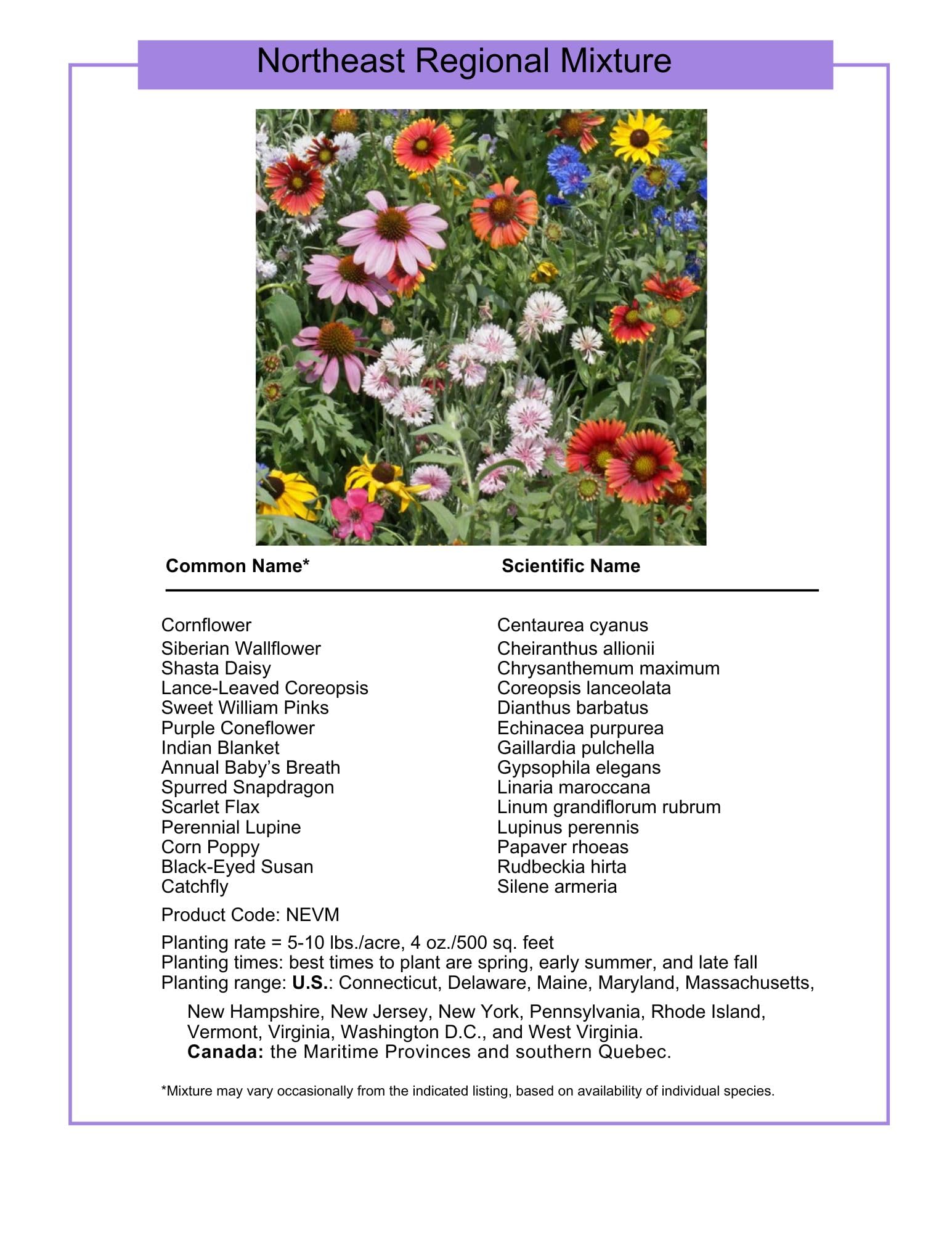 Paper Street Perennials Northeast seed mix ready for spring and fall sowing.