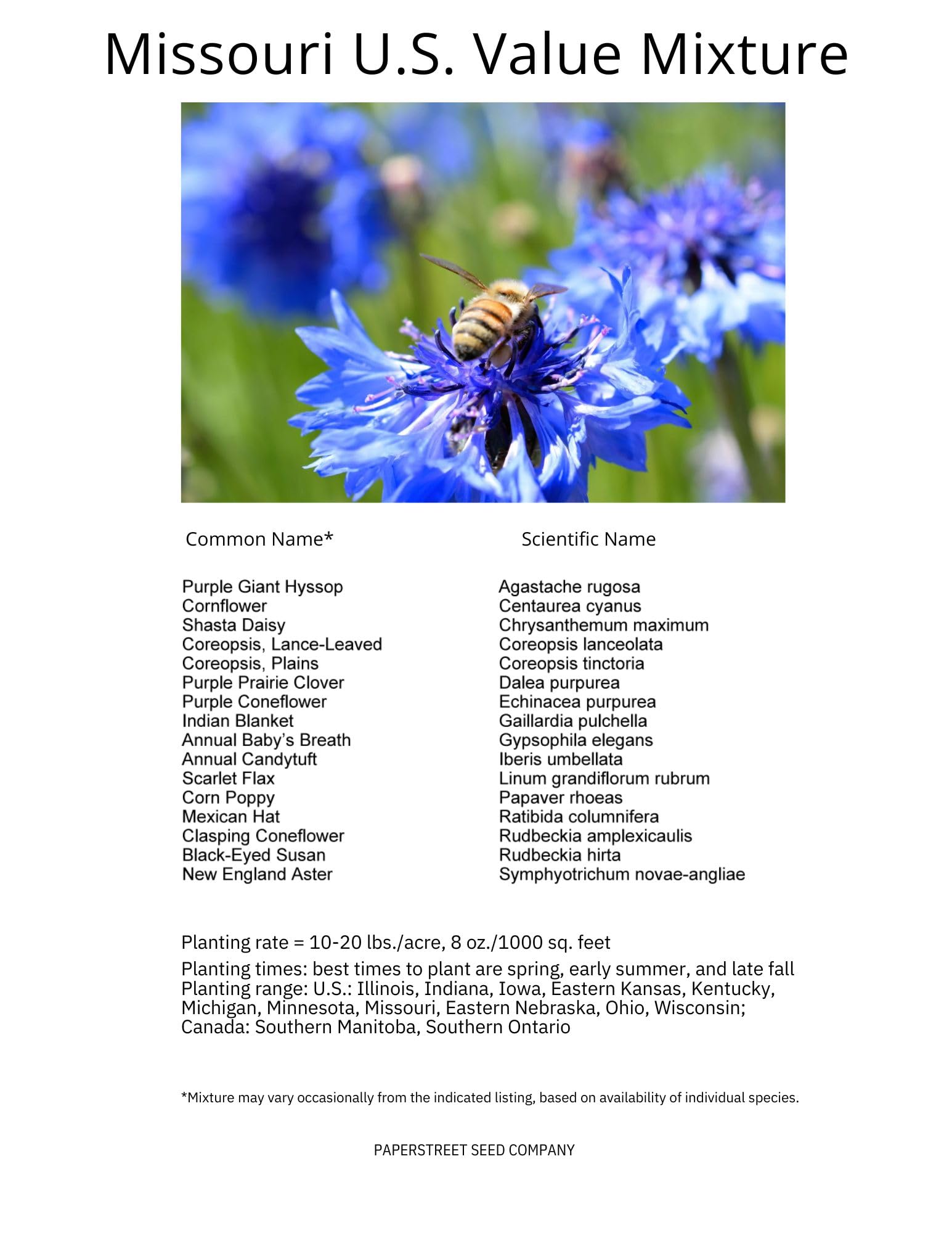 Paper Street Perennials pollinator-friendly flowers attracting bees and butterflies.