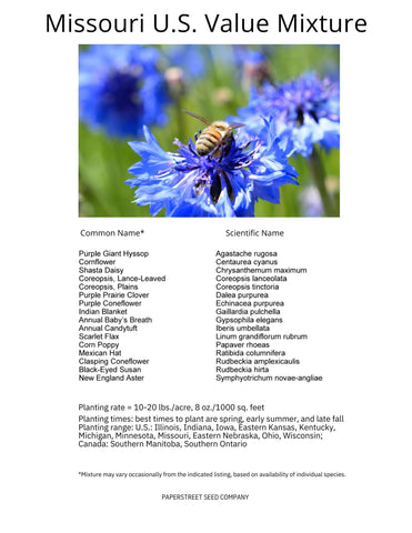 Paper Street Perennials pollinator-friendly flowers attracting bees and butterflies.