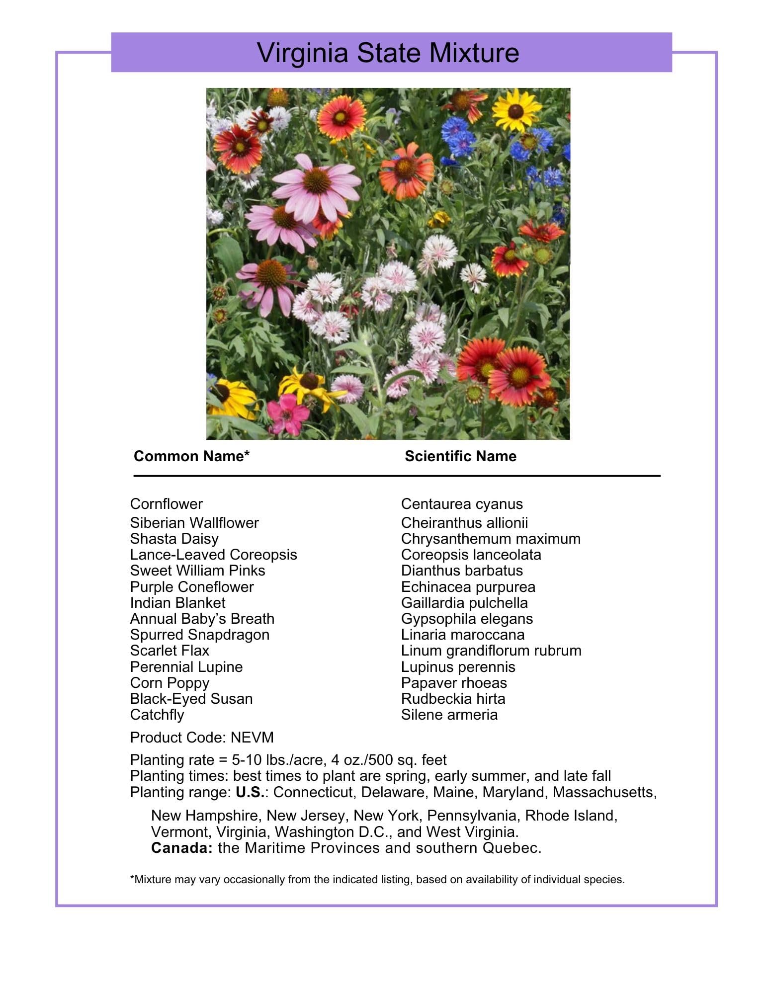 Paper Street Perennials spring bloom closeup shows diverse petals and nectar-rich blooms.