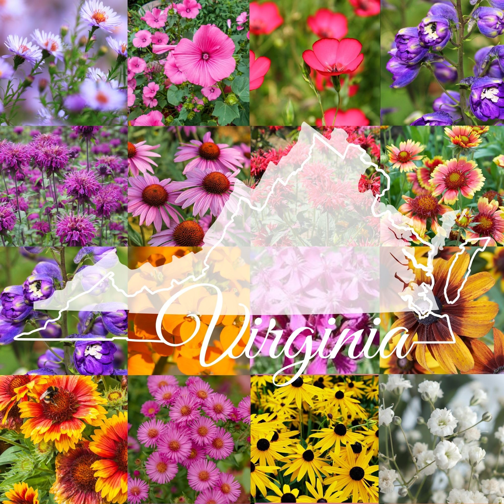 Paper Street Perennials Virginia Mix seed bag displays 14 species for pollinator gardens.