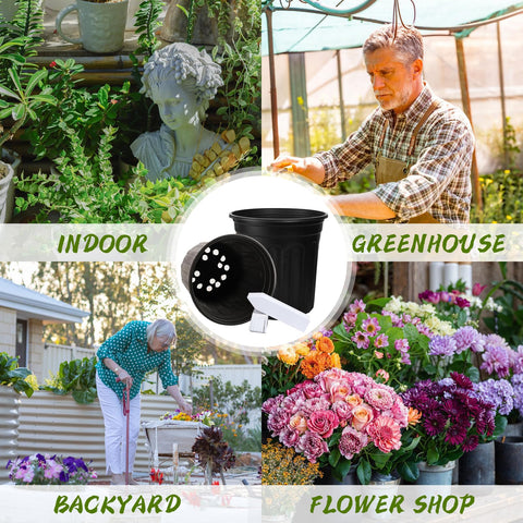 Paradi Star 2/3 gallon capacity suits many plants.