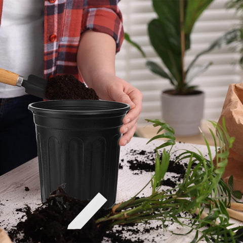 Paradi Star black pots complement home and garden spaces.