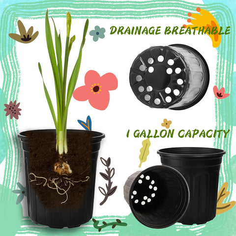Paradi Star pots have 16 drainage holes for healthy roots.