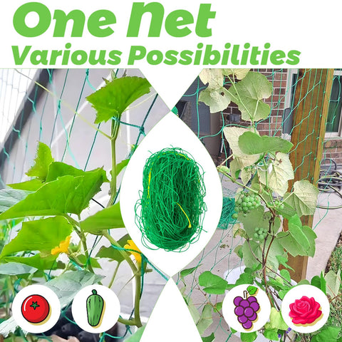 Paradi Star cucumber climbing net promotes neat, upward growth
