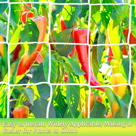 Paradi Star heavy-duty polyester net withstands heavy fruiting vines.
