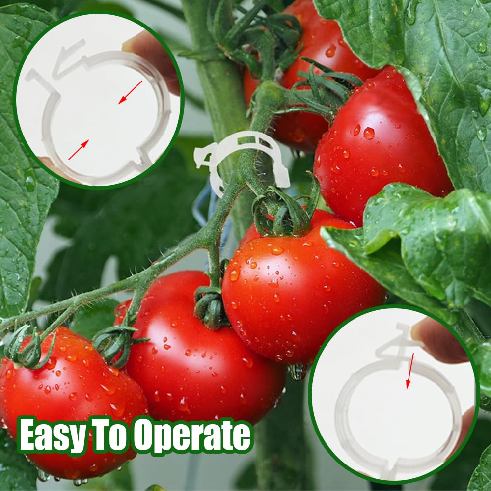 Paradi Star outdoor garden setup shows versatile clips for grapes, cucumbers, and loofah.