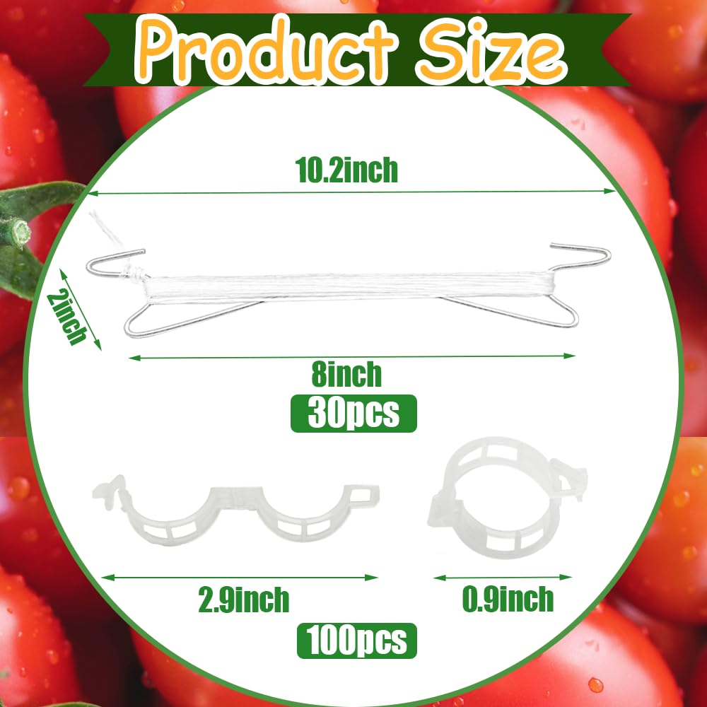 Paradi Star plant support clips holding stems without damage, easy to install and reuse.
