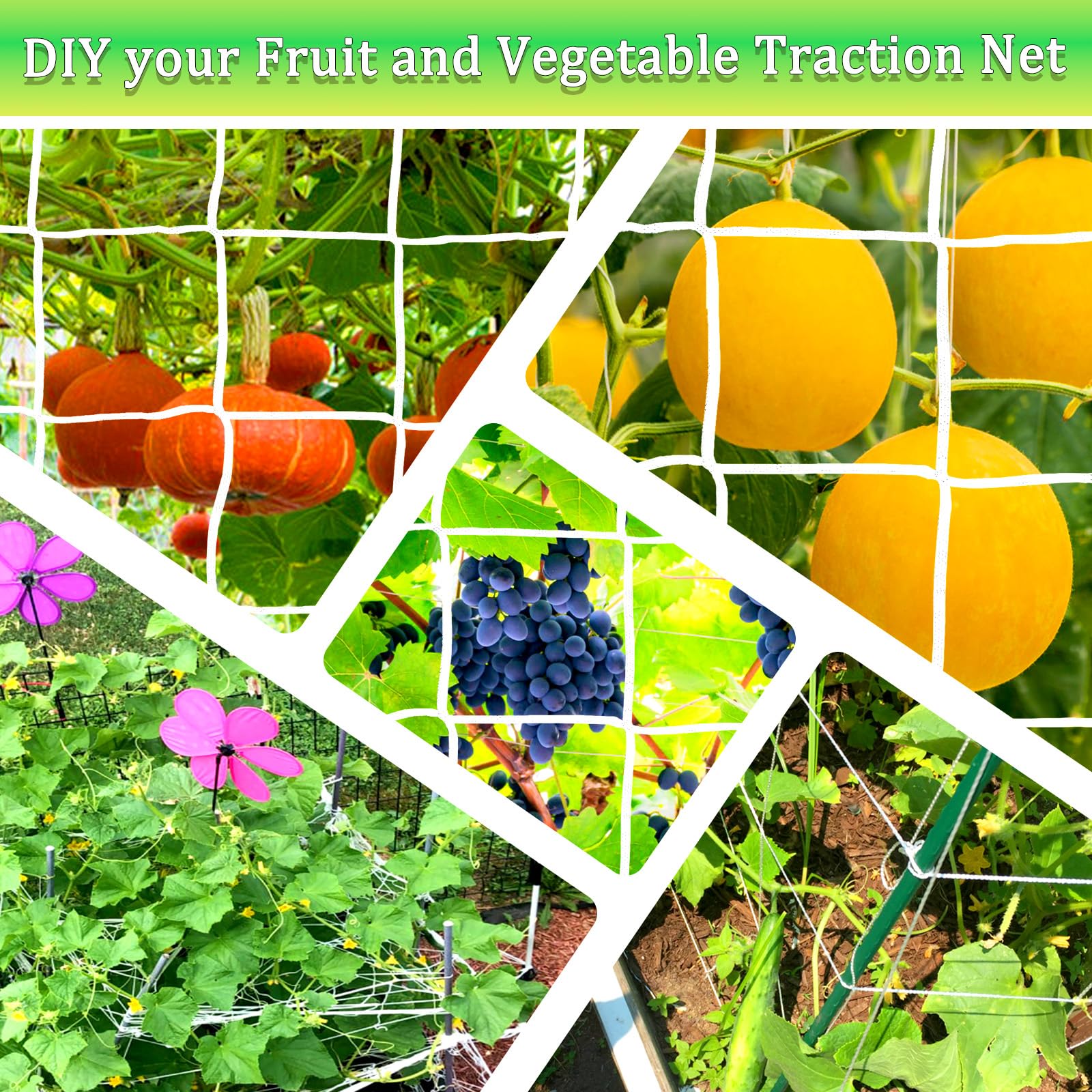 Paradi Star plant-support netting helps plants climb upward healthily.