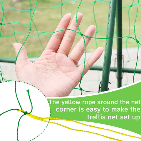 Paradi Star polyester square mesh net with 30x20 grid supports peas and tomatoes
