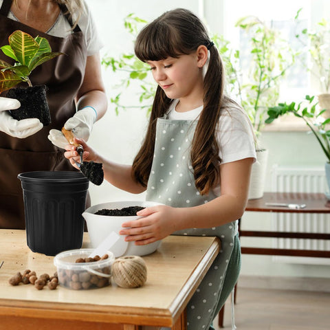 Paradi Star seed starting and transplanting kit supports flexible gardening.