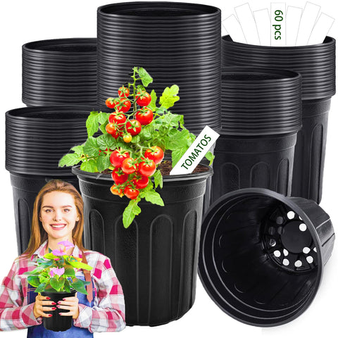 Paradi Star seedling pots with 6.7-inch height for seed starting.