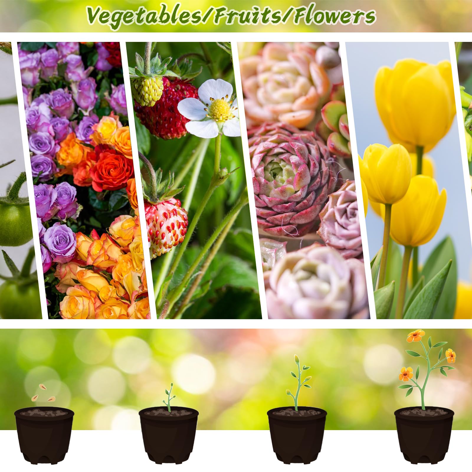 Paradi Star soft plastic pots are lightweight and reusable.