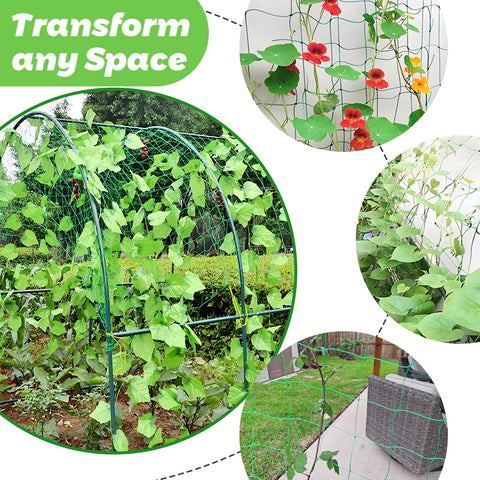 Paradi Star tomato net offers strong vertical support for heavy fruit