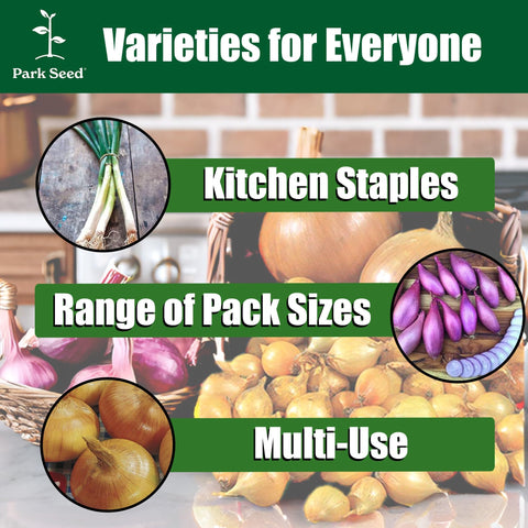 Park Seed Candy onion storage cure image; proper curing preserves flavor and texture.