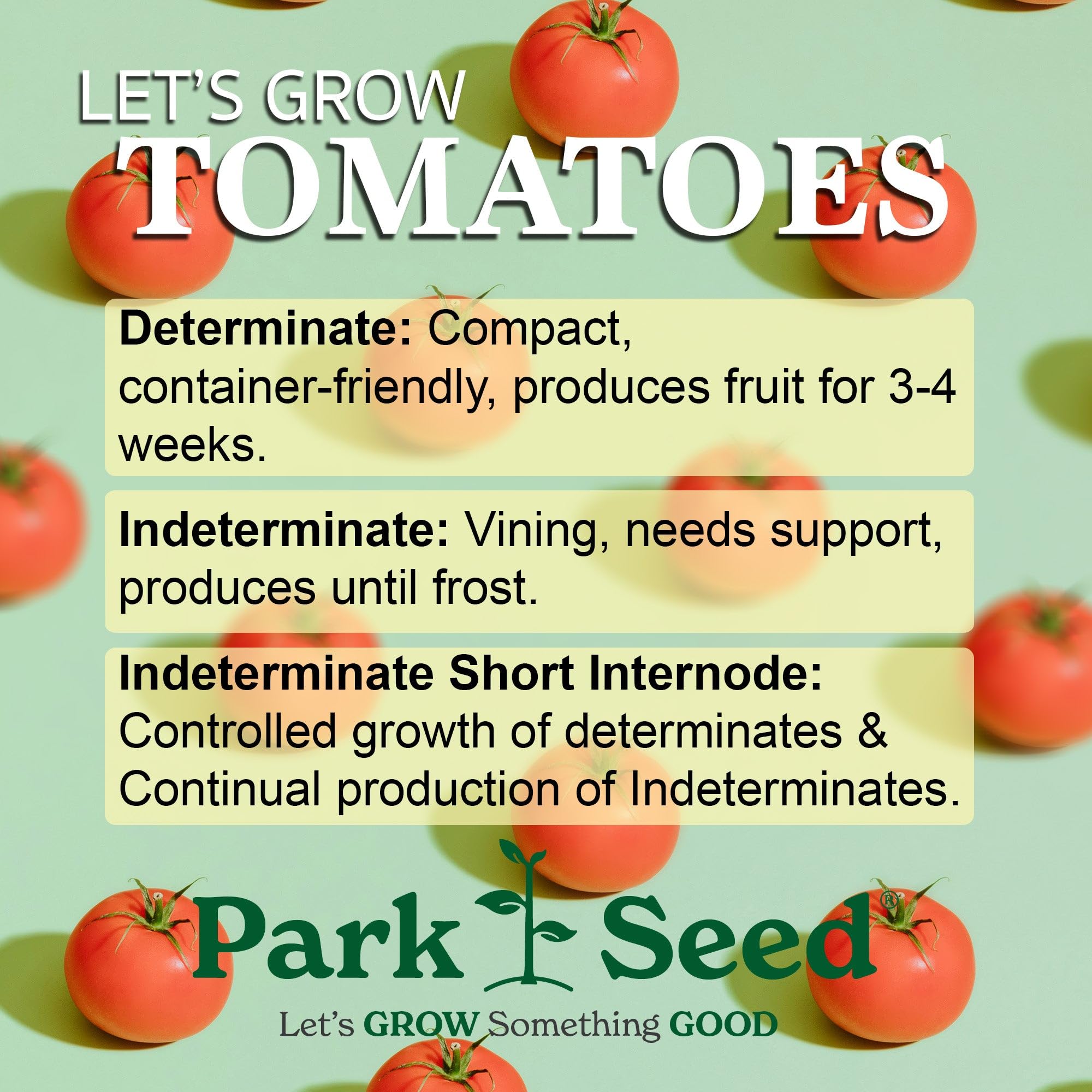 Park Seed Celebrity Plus compact plant habit supports easy staking and steady yields.