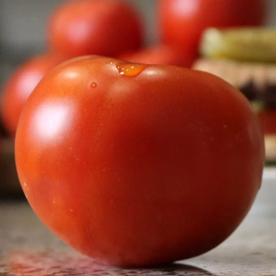 Park Seed Celebrity Plus tomato fruit, 7–8 oz, ideal for slicing and sandwiches.