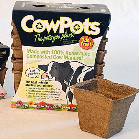 Park Seed CowPots 4-inch tall square seedling set for easy transplanting and healthy roots.