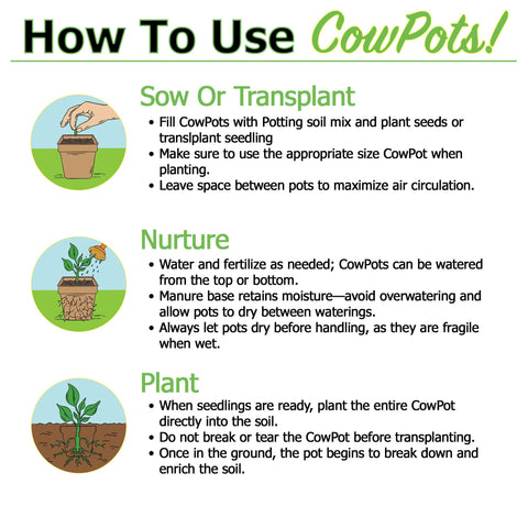 Park Seed CowPots eco-packaging provides 60 pots for sustainable garden beginnings.