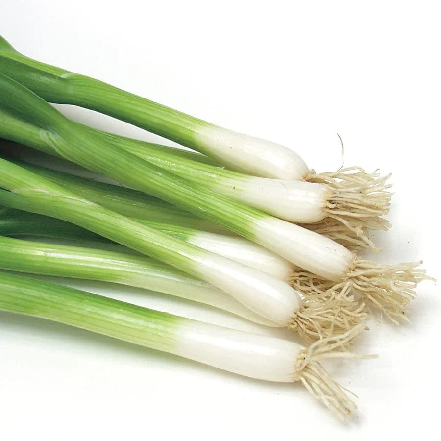 Park Seed Damast bunching onion seed tape with guard-plant appeal and dense green stalks.