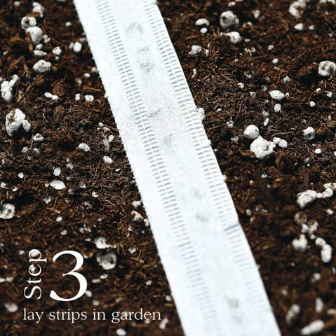 Park Seed Damast 15 ft seed tape roll, 2-pack, ready to plant in spring.
