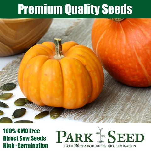 Park Seed Dill's Atlantic Giant vigorous vines indicate space needs for large yields.