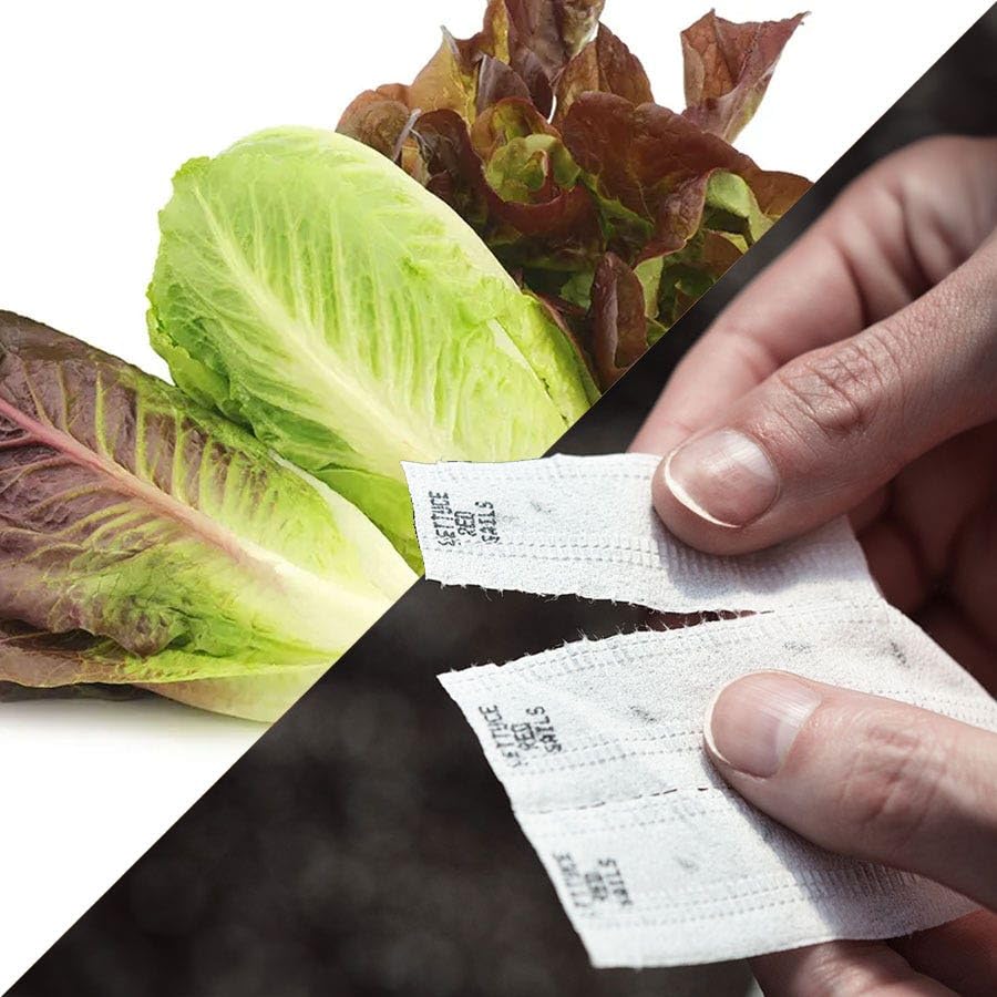 Park Seed seed tape cover image with pre-sown mix for effortless sowing