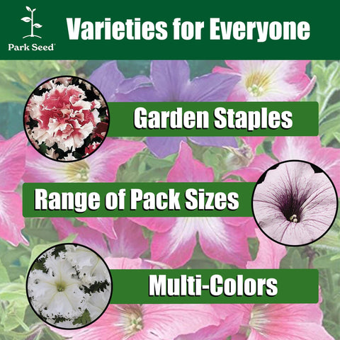 Park Seed Easy Wave White Petunia thrives in sun and heat for reliable color