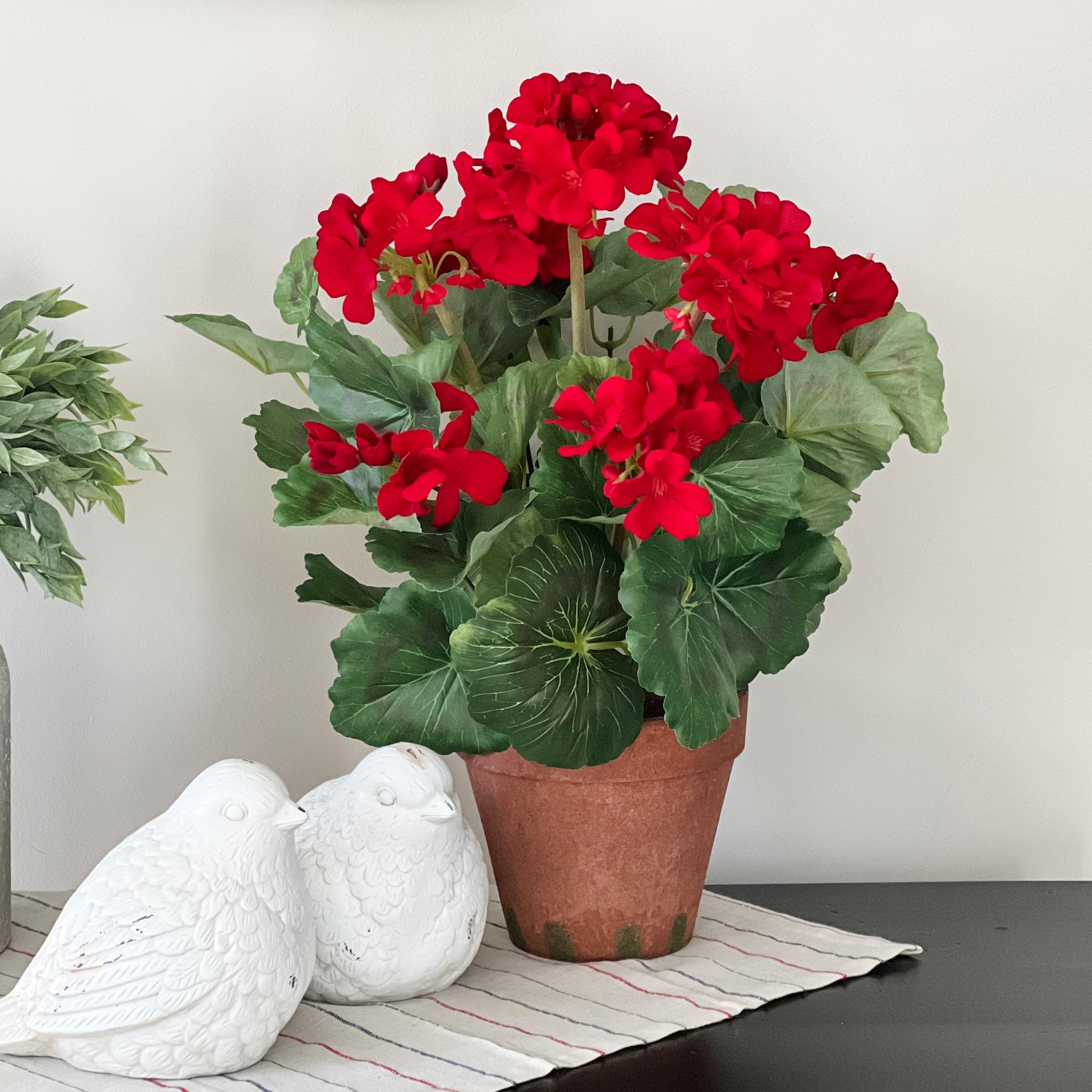 Park Seed Maverick Scarlet bed edge ready for sunny borders with long-lasting color.