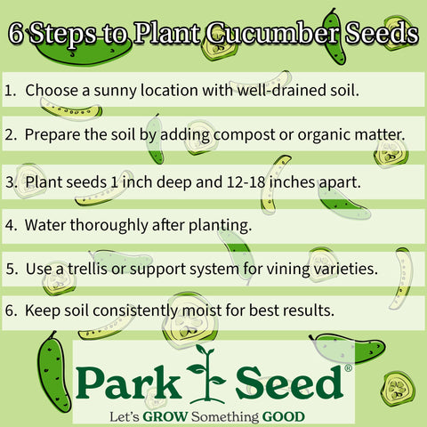 Park Seed Mini-Me cucumber harvest-ready fruit for easy picking and meal prep.