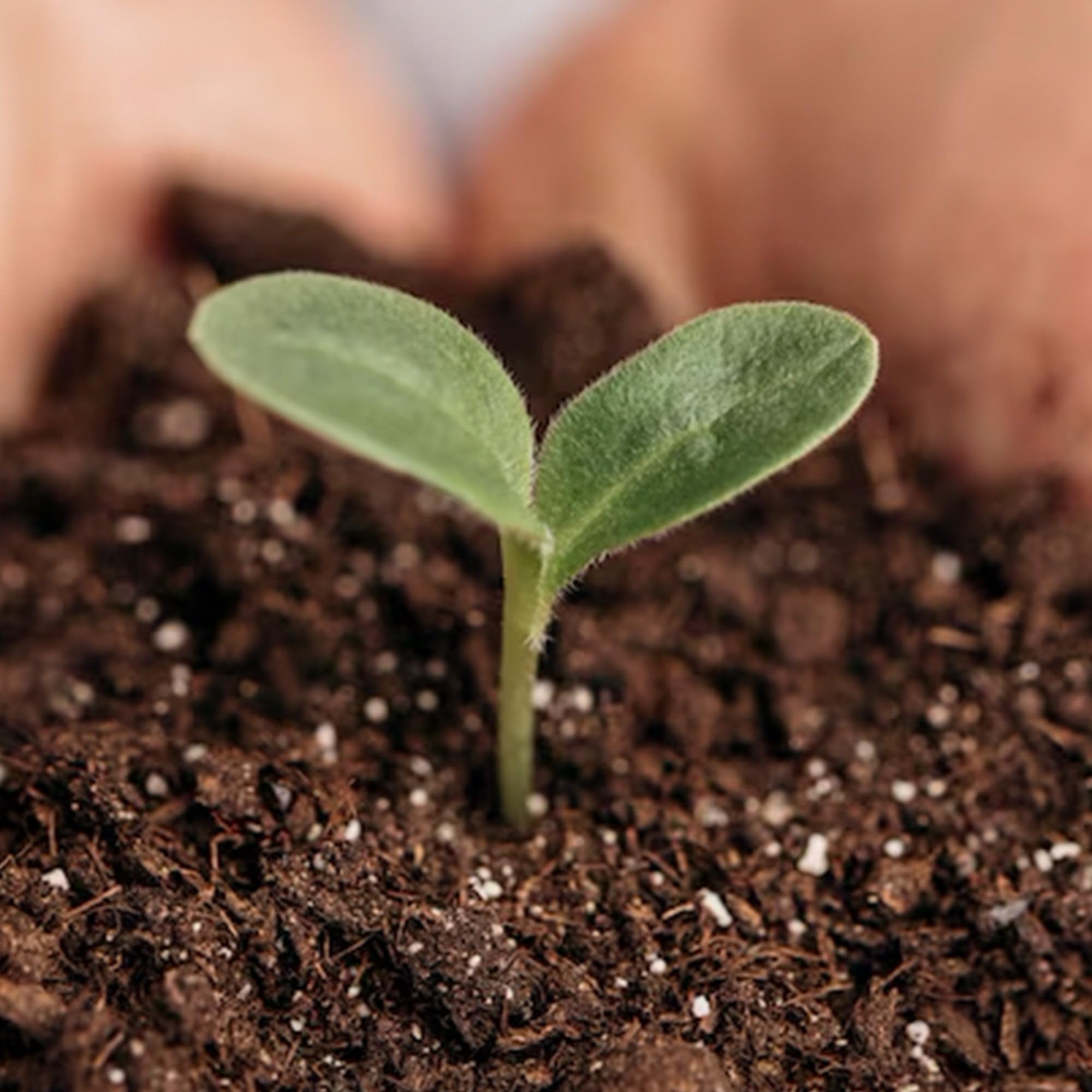 Park Seed Nature’s Aid provides long-term soil health and yield potential in home gardens.