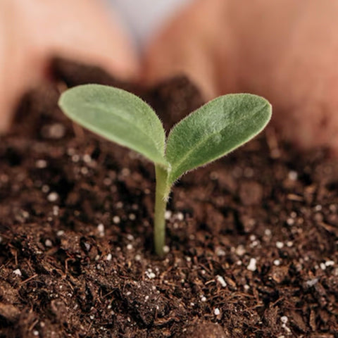 Park Seed Nature’s Aid provides long-term soil health and yield potential in home gardens.
