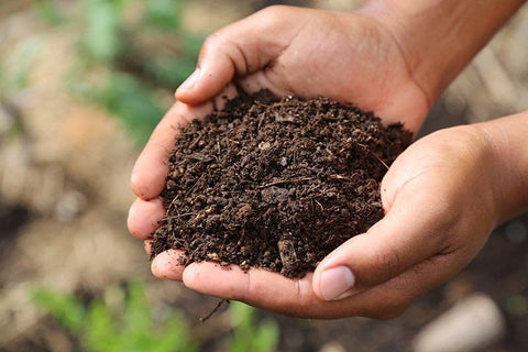 Park Seed Nature’s Aid supports beans, peas, and vetch with improved nutrient uptake.
