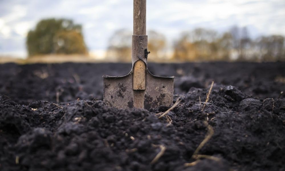 Park Seed Nature’s Aid being sprinkled into soil at sowing time for better nitrogen.