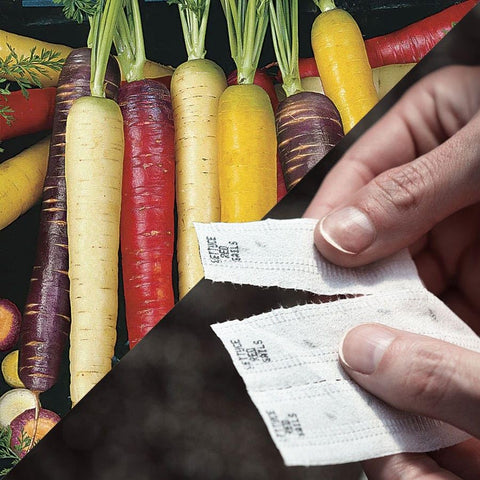 Park Seed Rainbow Blend Carrot Seed Tape for easy direct sowing and color-filled harvest.