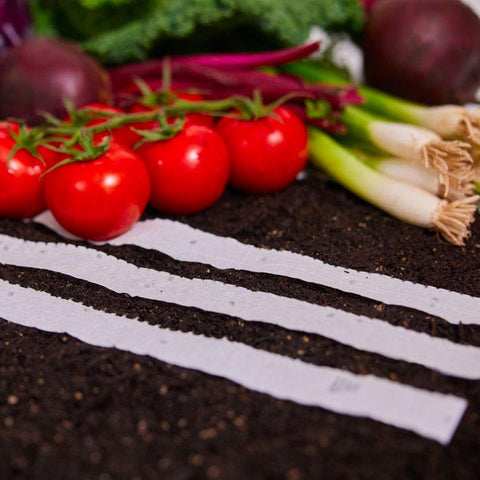 Park Seed seed tape closeup showing pre-sown Romaine blend for easy spacing