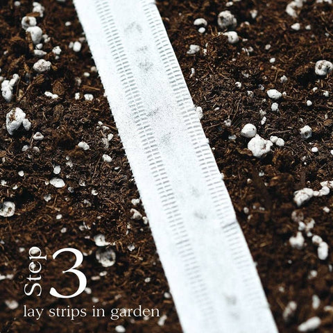 Park Seed 15-foot seed tape simplifies sowing across garden beds.