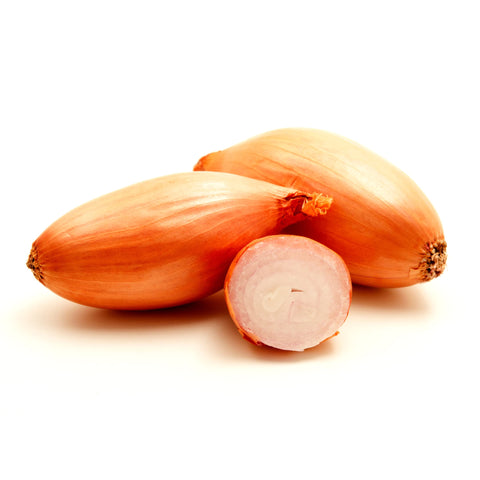 Park Seed Zebrune shallot seeds pack for fresh home garden harvests