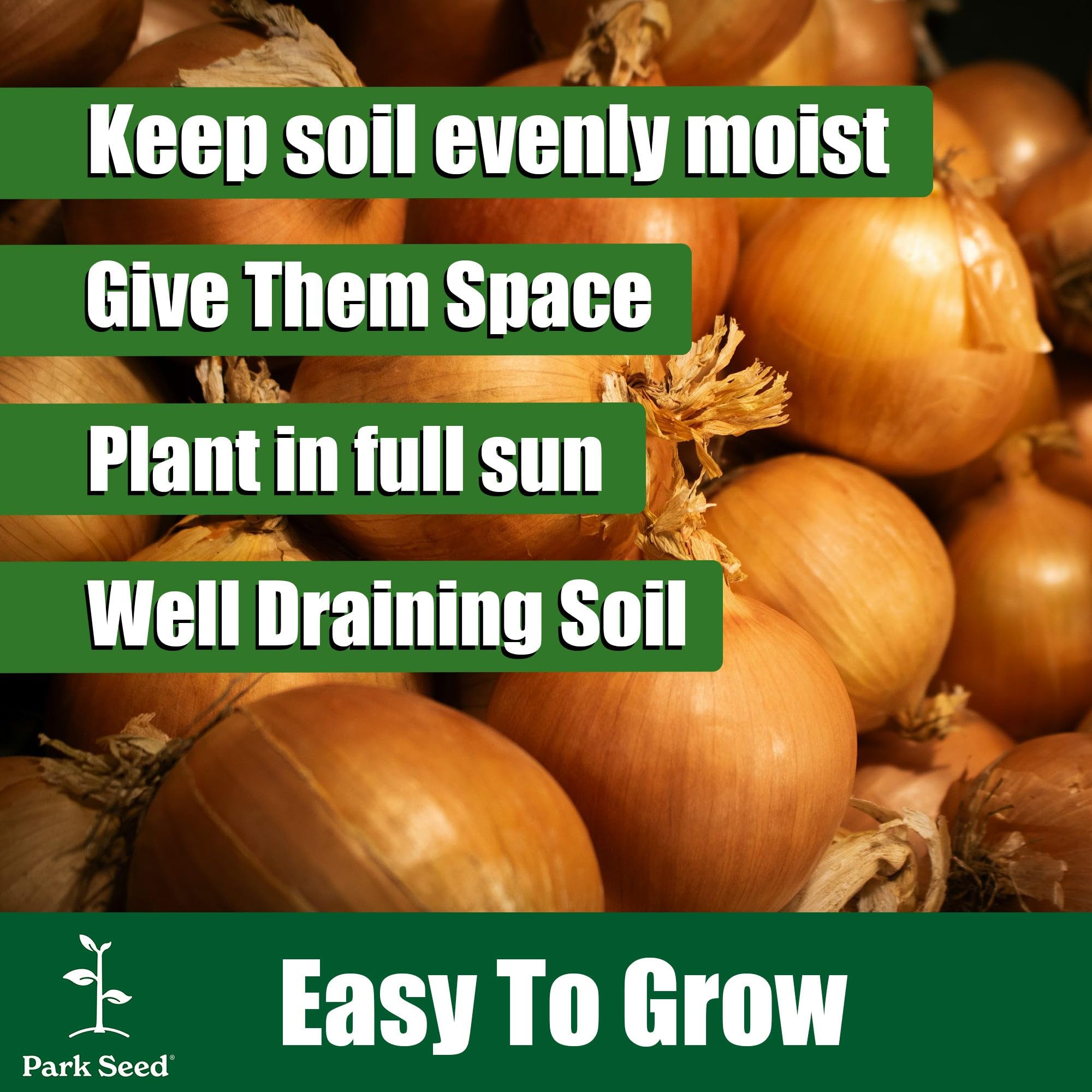 Park Seed Zebrune harvest-ready plant supports spring planting and fresh meals