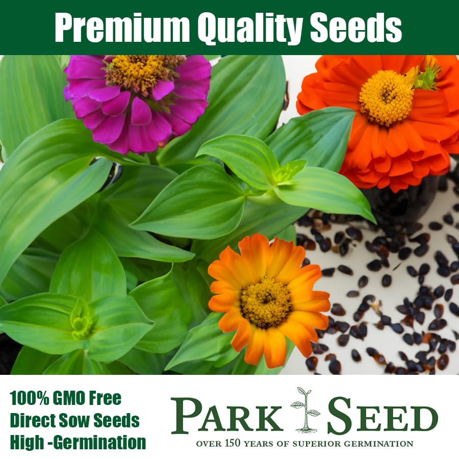 Park Seed Zinderella Peach border display with vivid blooms along a sunny border.