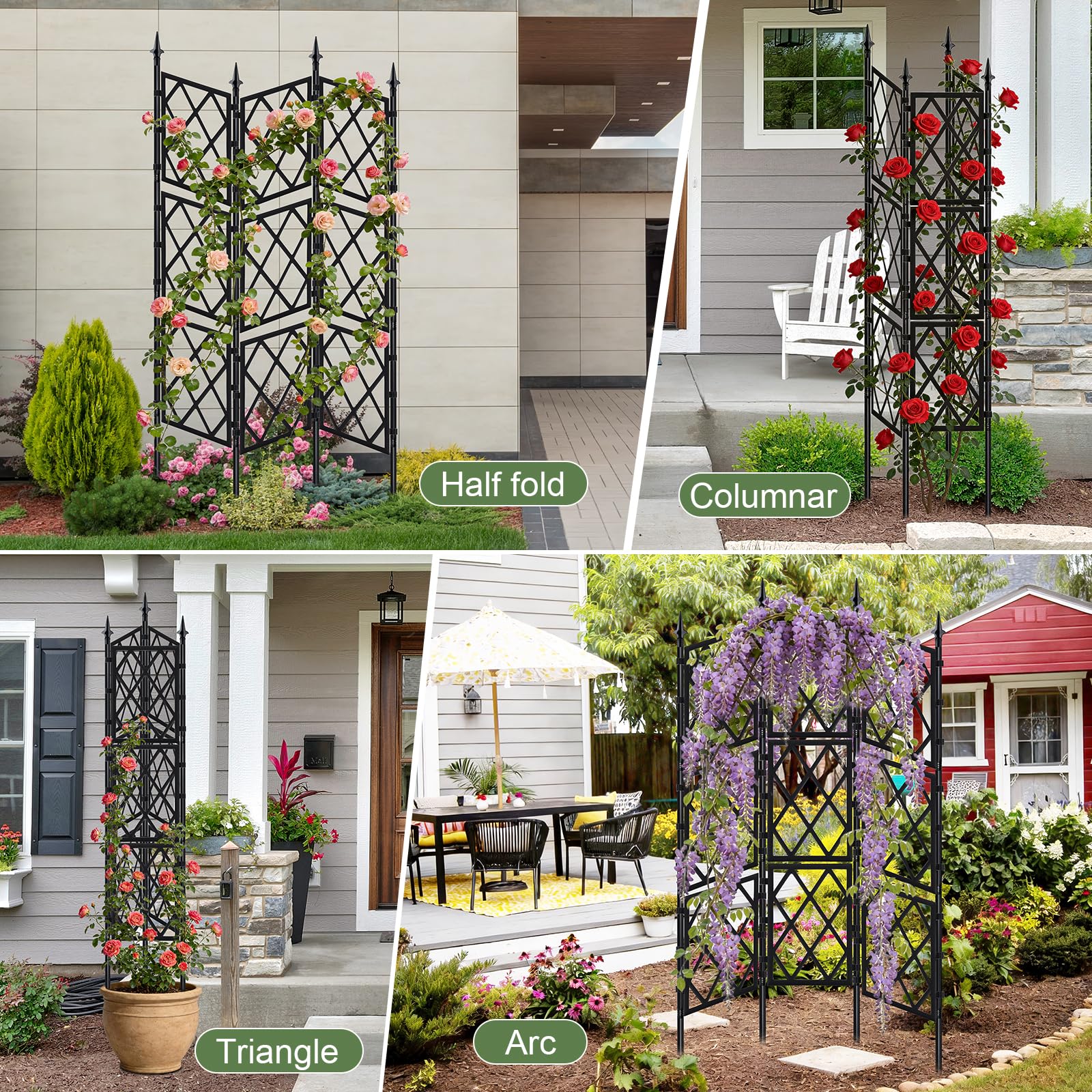 ParseBio climbing plants ivy rose trellis supports vines and adds garden appeal.